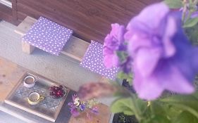 Holiday_Home _Jana